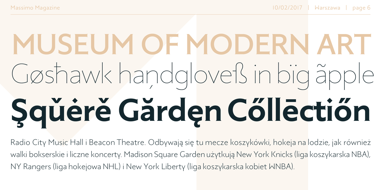 Massimo Ultra Light italic Font preview
